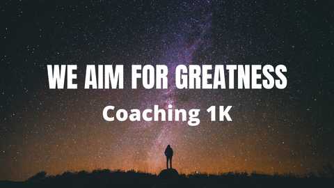 Business and Executive Coaching 1K